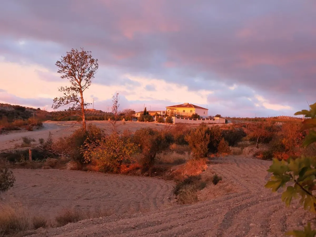 Casa Nuestro Sueno Bed & Breakfast Oria